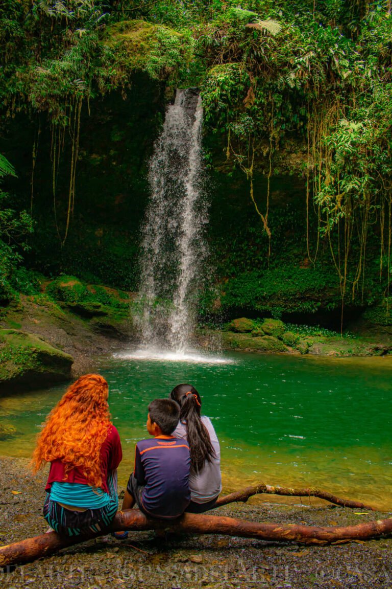 Resistir desde el sur